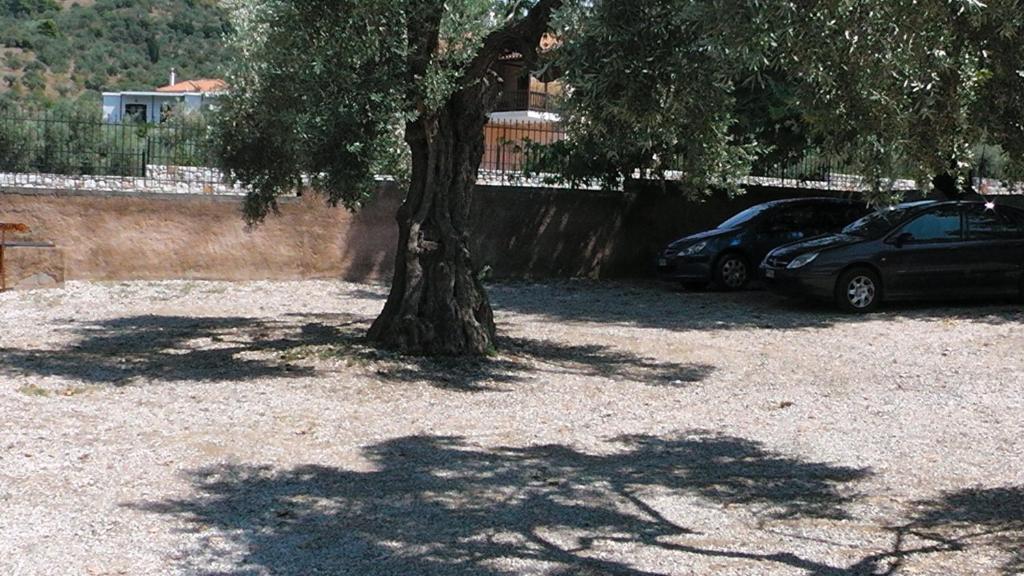 Villa Maro Bandar Skopelos Luaran gambar